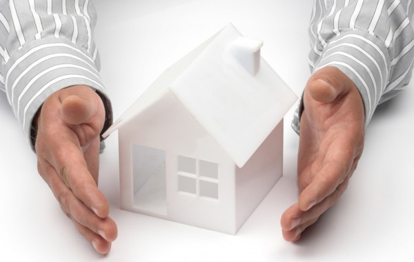 Sed blandit massa vel