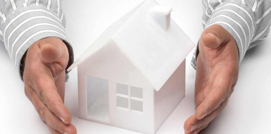 Sed blandit massa vel